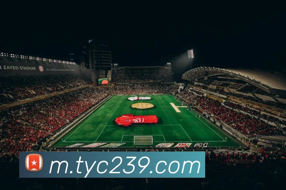 太阳城服务体系